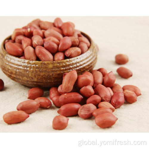 Organic Peanut Groundnut For Sale Factory